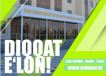 card-img-top