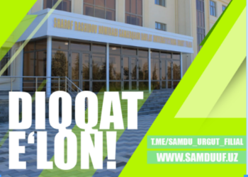 card-img-top