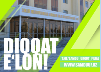 card-img-top